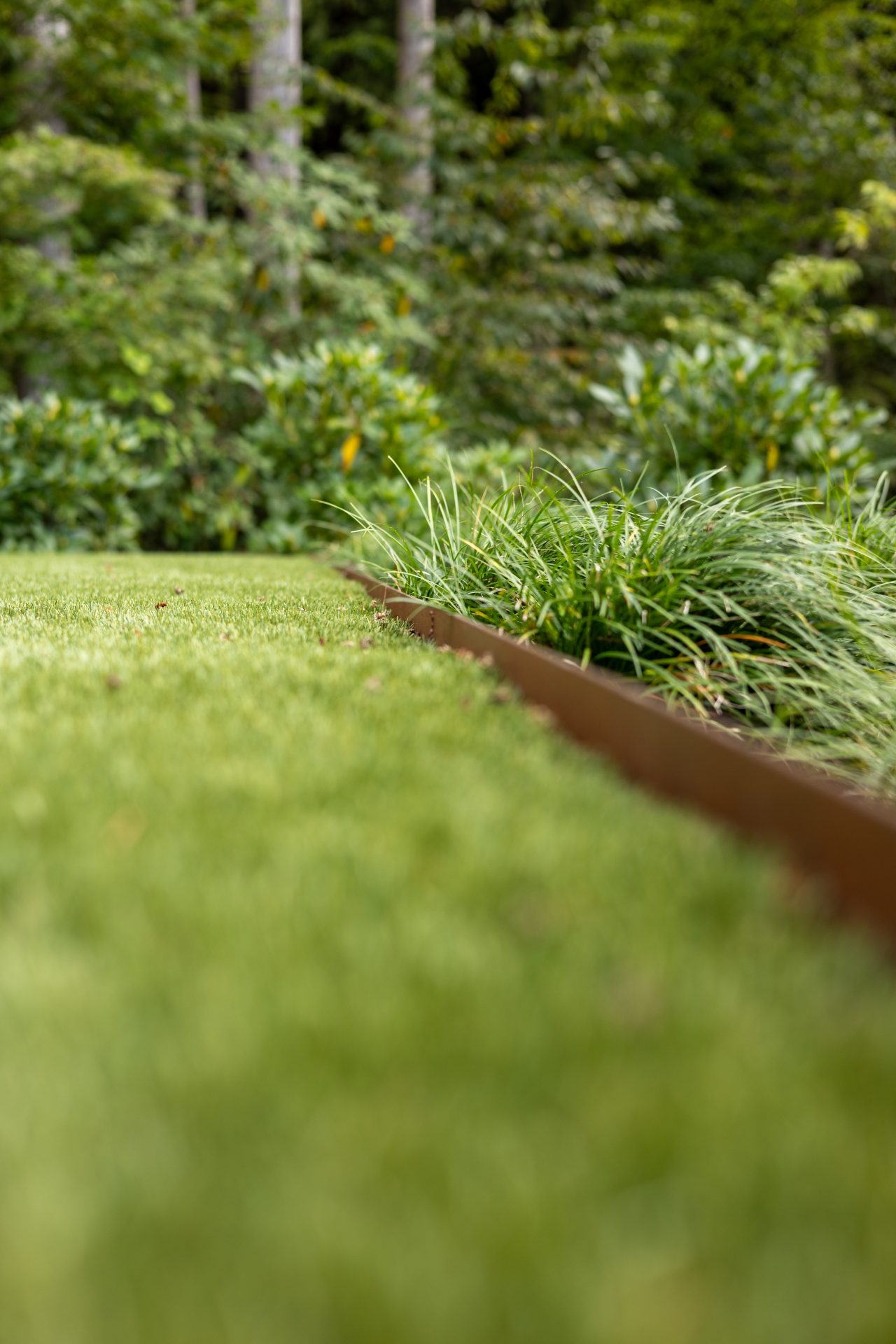 Metal garden edging between lawn and plants