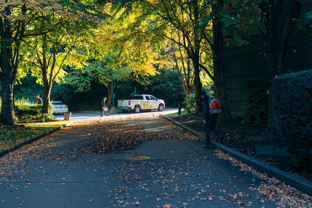 Worker blowing leaves on tree-lined street in autumn