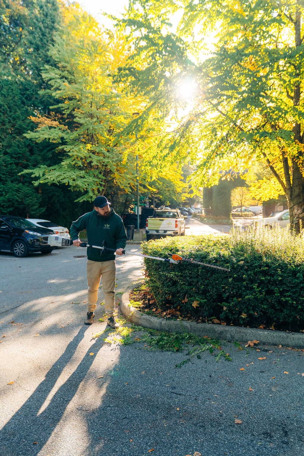 Landscaper trimming hedge on sunny residential street