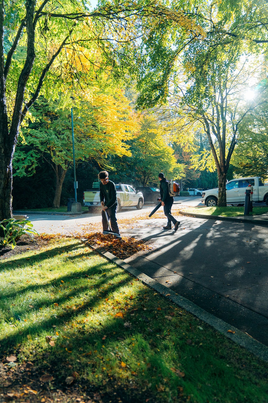 Workers raking and blowing leaves on sunny street