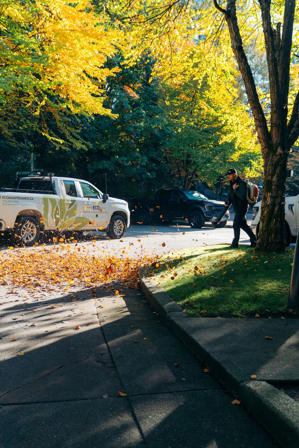Worker blowing autumn leaves on residential street