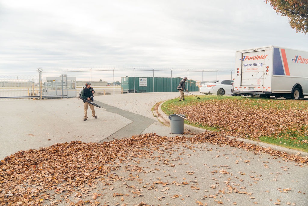 Workers clearing fallen leaves in parking lot