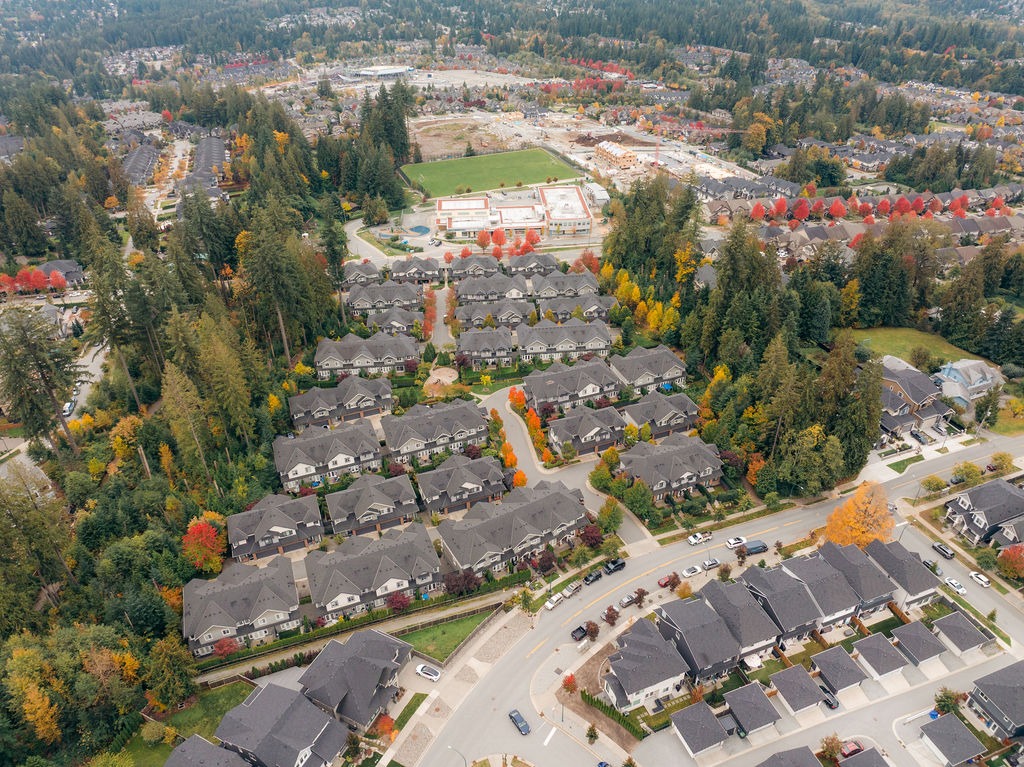 Aerial view of suburban neighbourhood in autumn