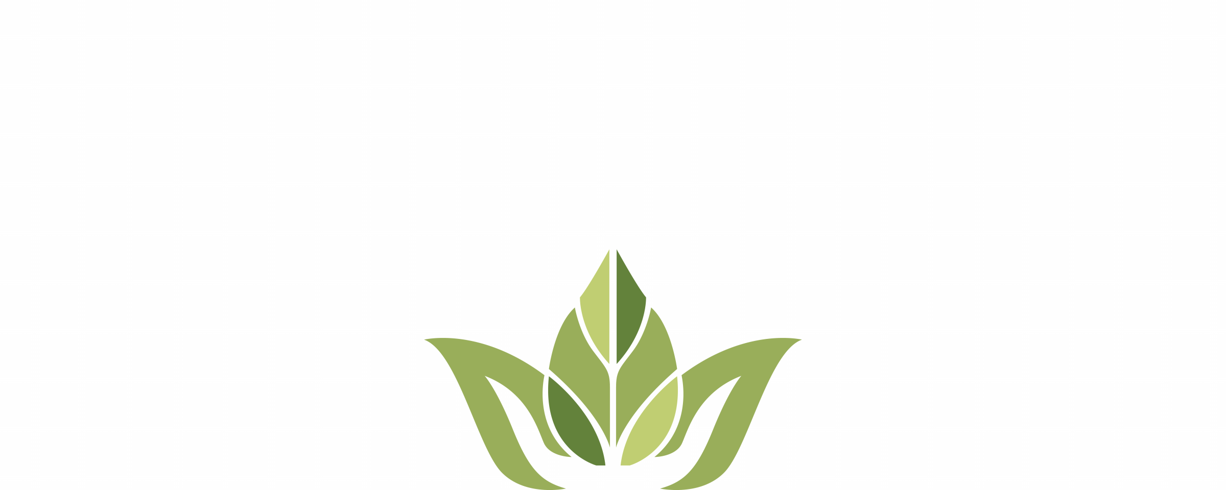 Minimalist green leaf logo on gray background