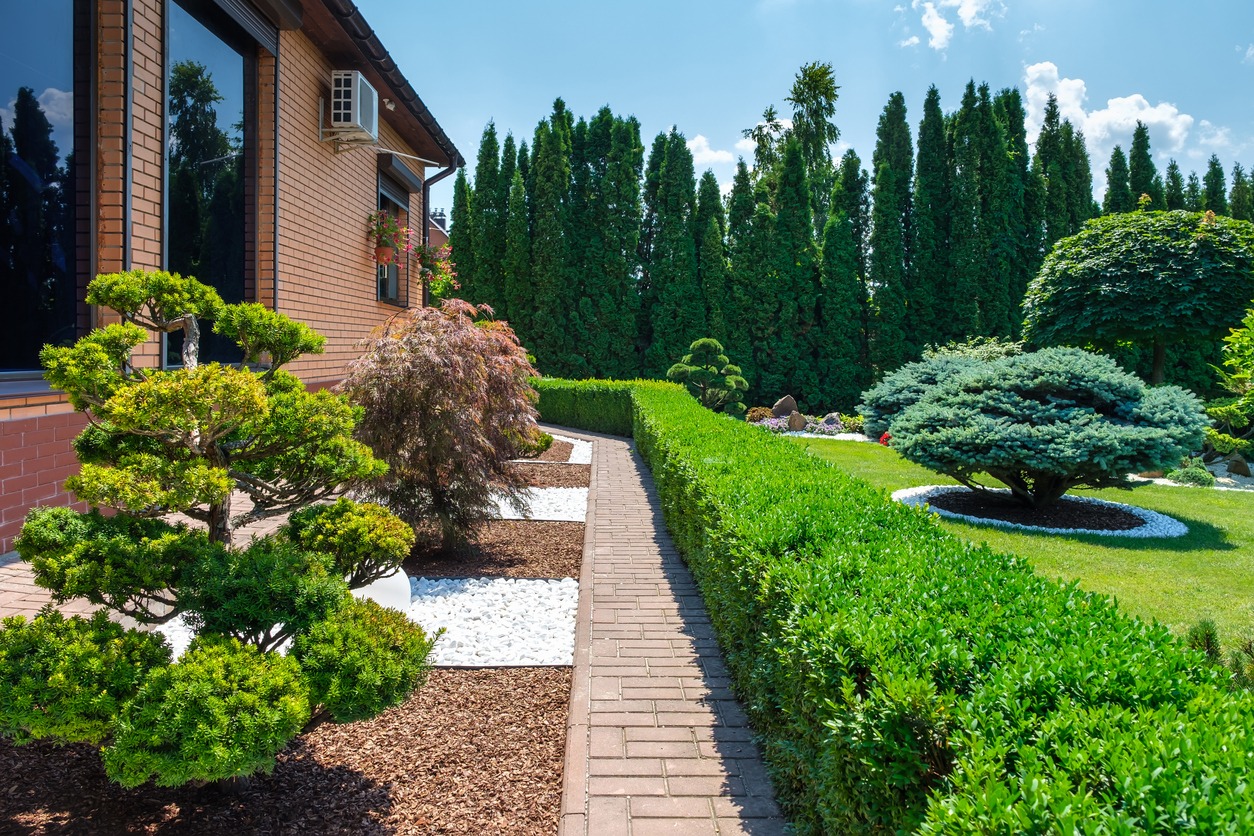 Manicured backyard garden with hedges and brick house