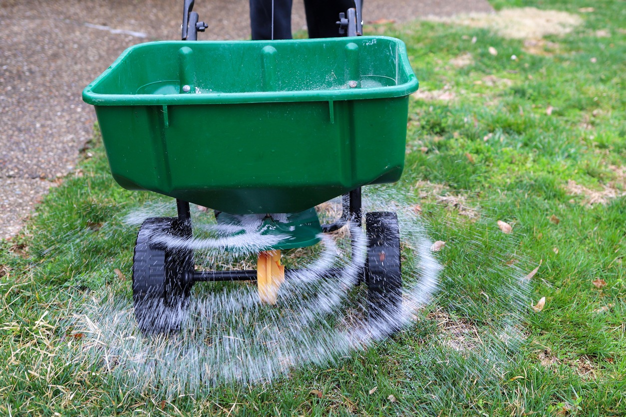 Lawn spreader dispersing fertilizer on green grass