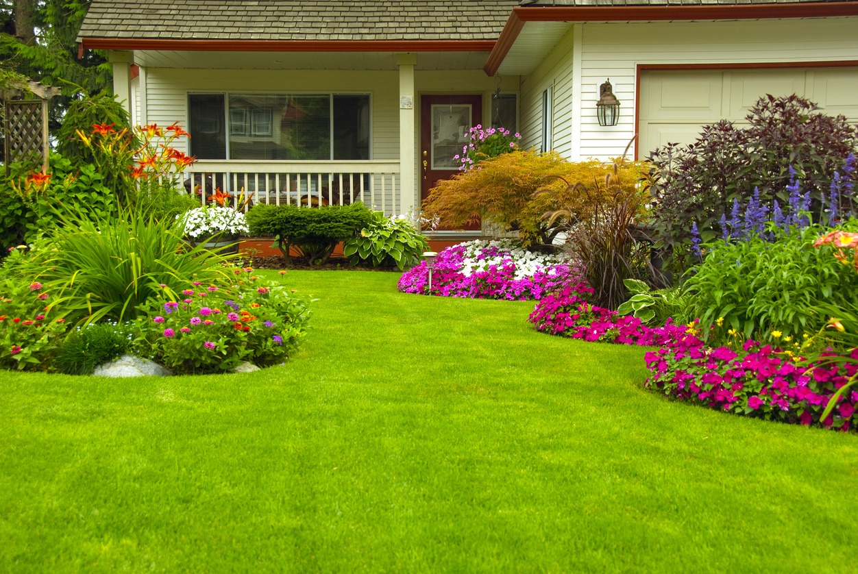 Colourful landscaped front yard with lush green lawn
