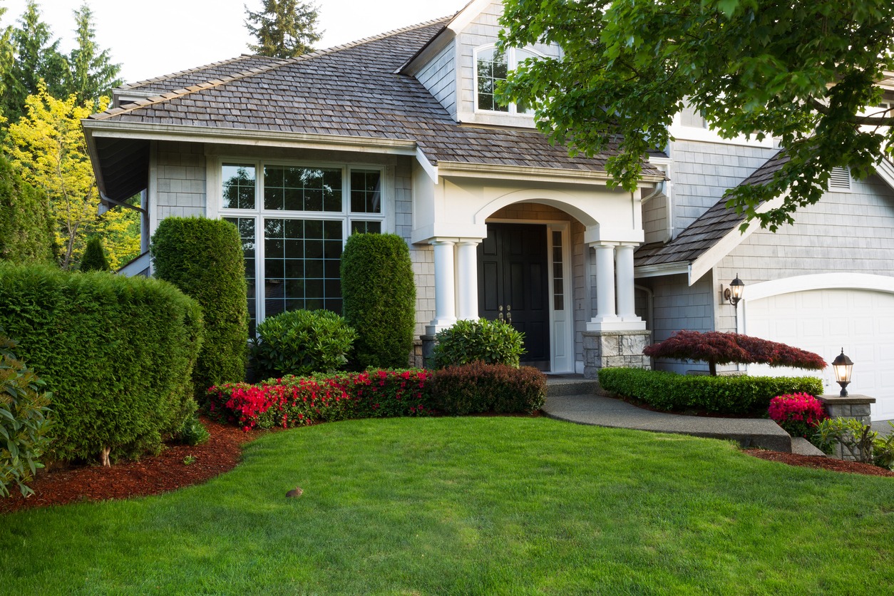 Landscaped suburban home with manicured lawn and shrubs