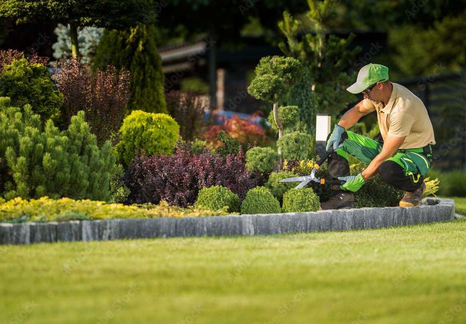 A guy kneeling and tending to his backyard and garden, showcasing year-round lanscape maintenance guide.