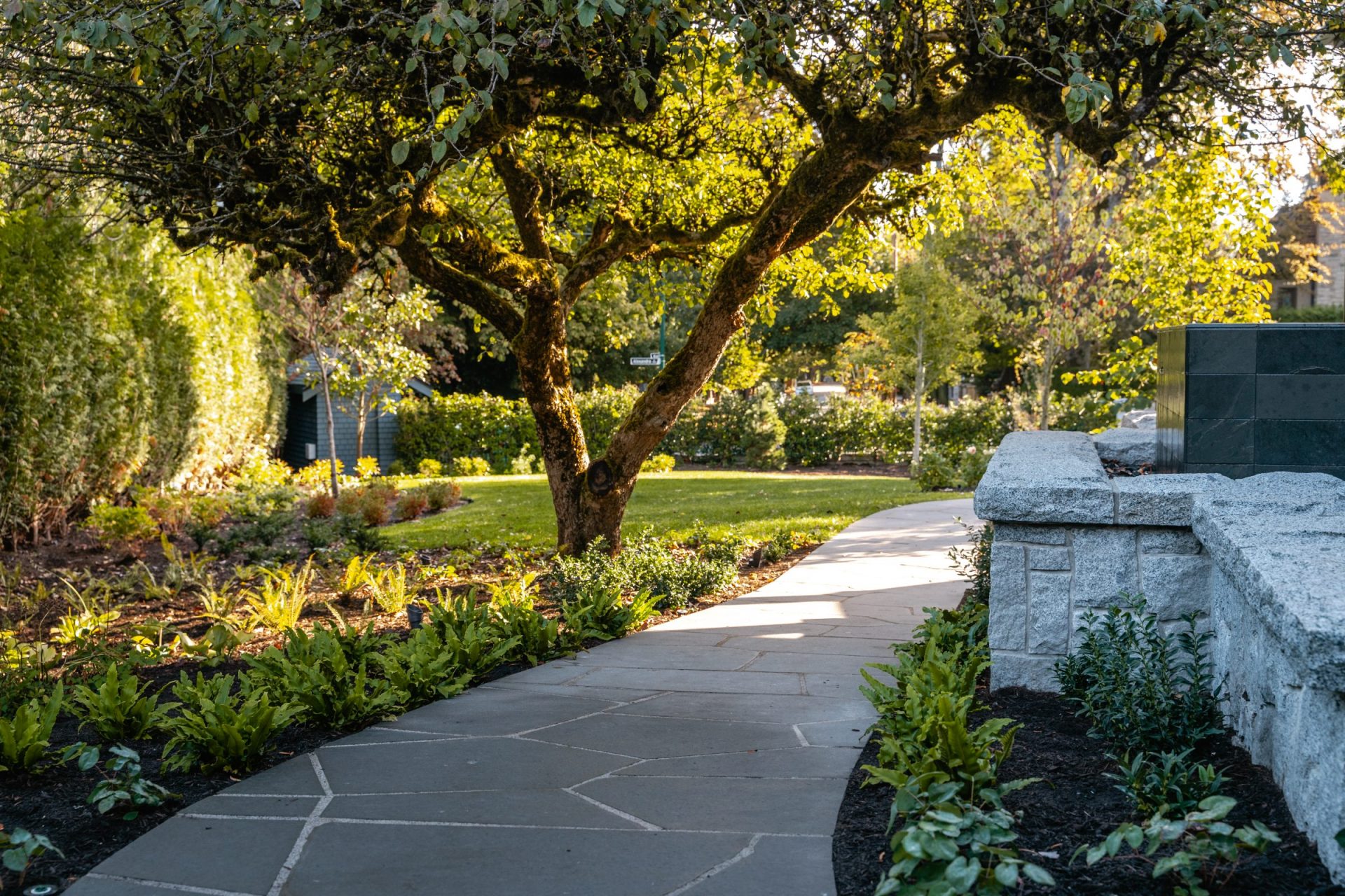 Curved stone pathway beneath large tree in garden