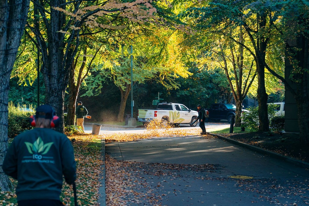 Property maintanence workers clearing autumn leaves on tree-lined street