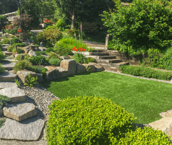 Landscaped garden with stone steps and lush greenery