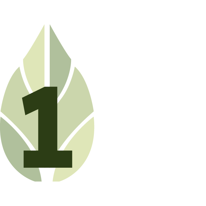 Green leaf icon with number one
