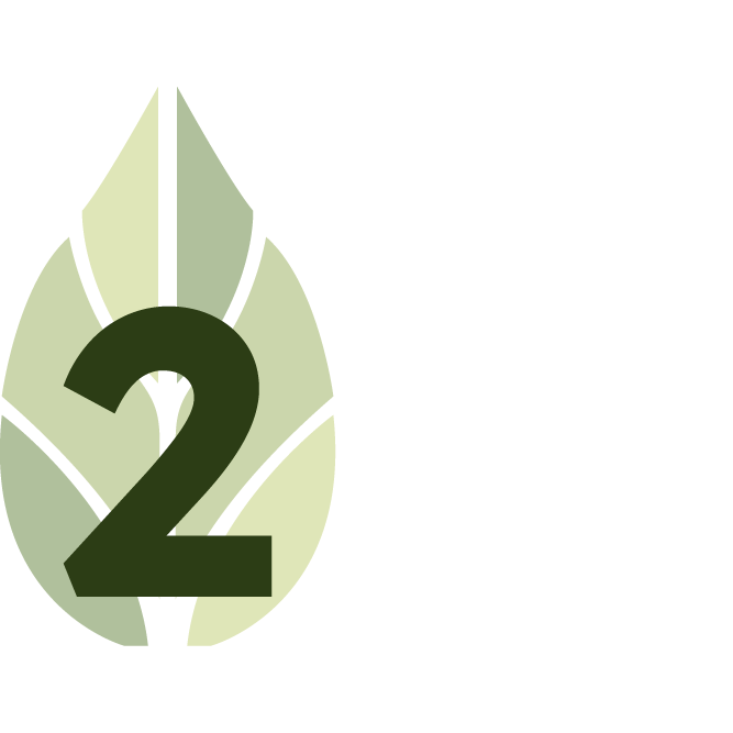 Green leaf logo with number 2