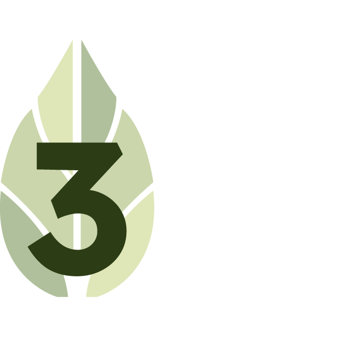 Green leaf icon with number three