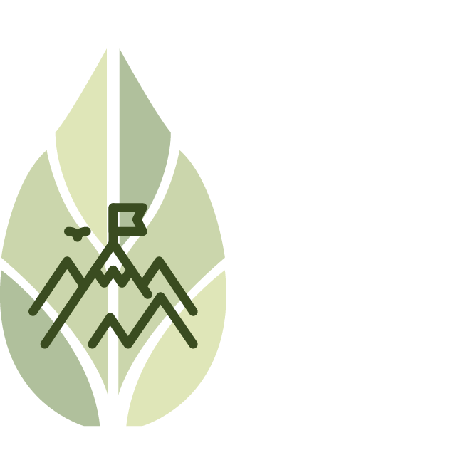 Stylized green leaf with mountain and flag
