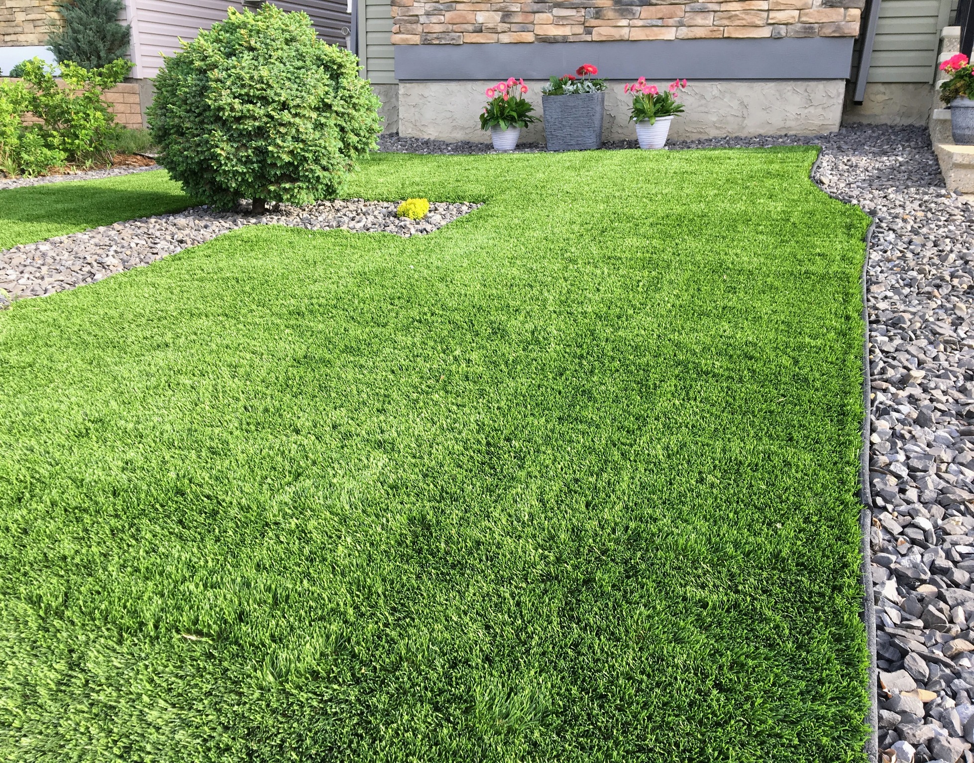 Artificial turf lawn with stone landscaping and shrubs