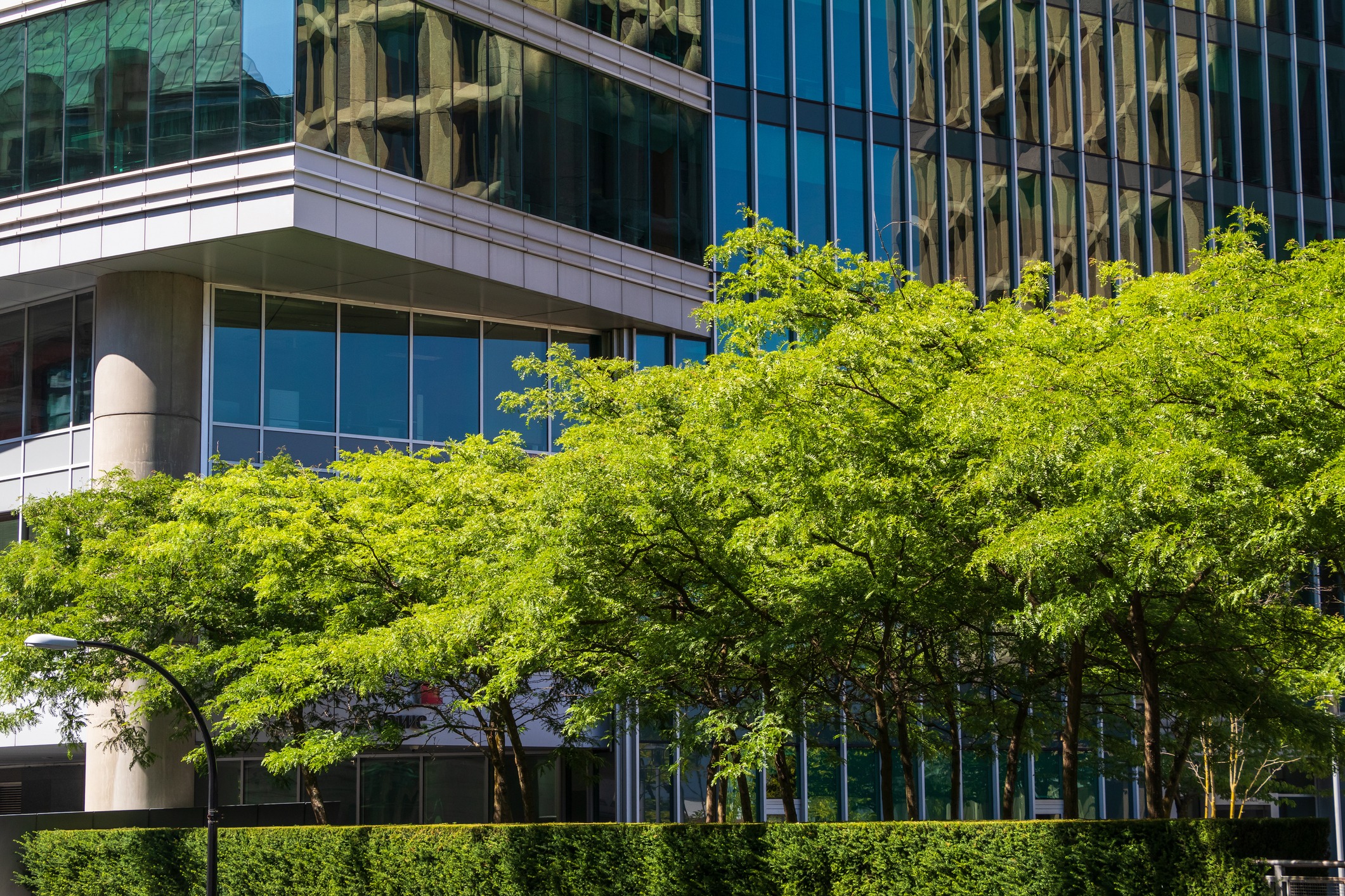 Modern glass office building behind green trees