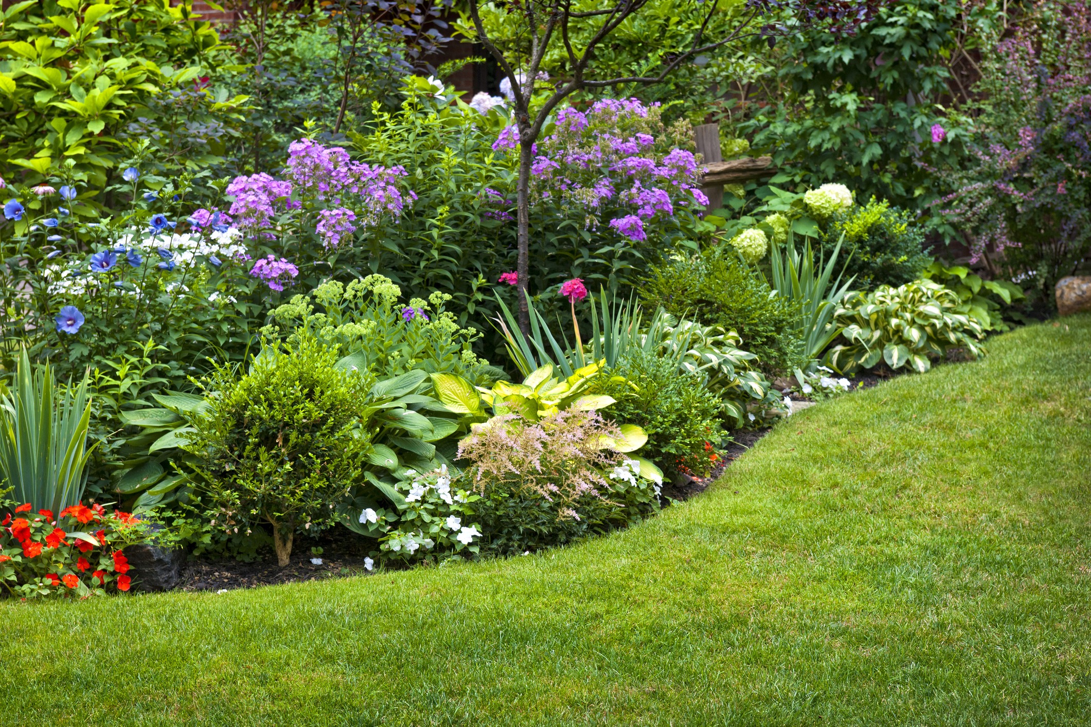 Colourful landscaped garden bed beside green lawn