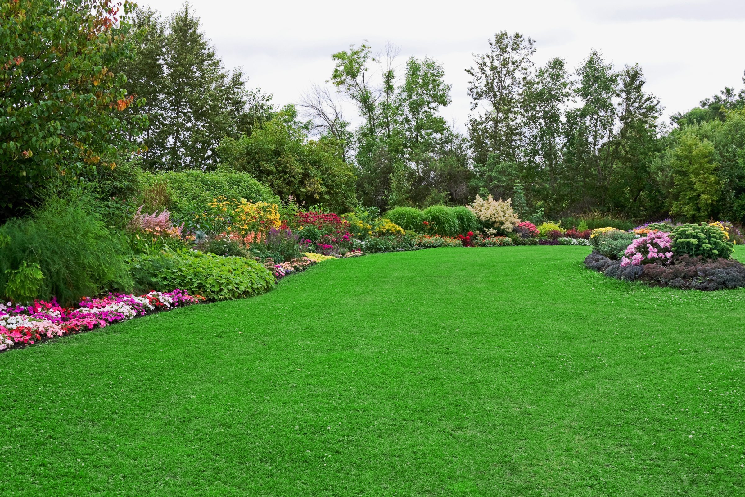 Lush garden with colorful flower beds and lawn