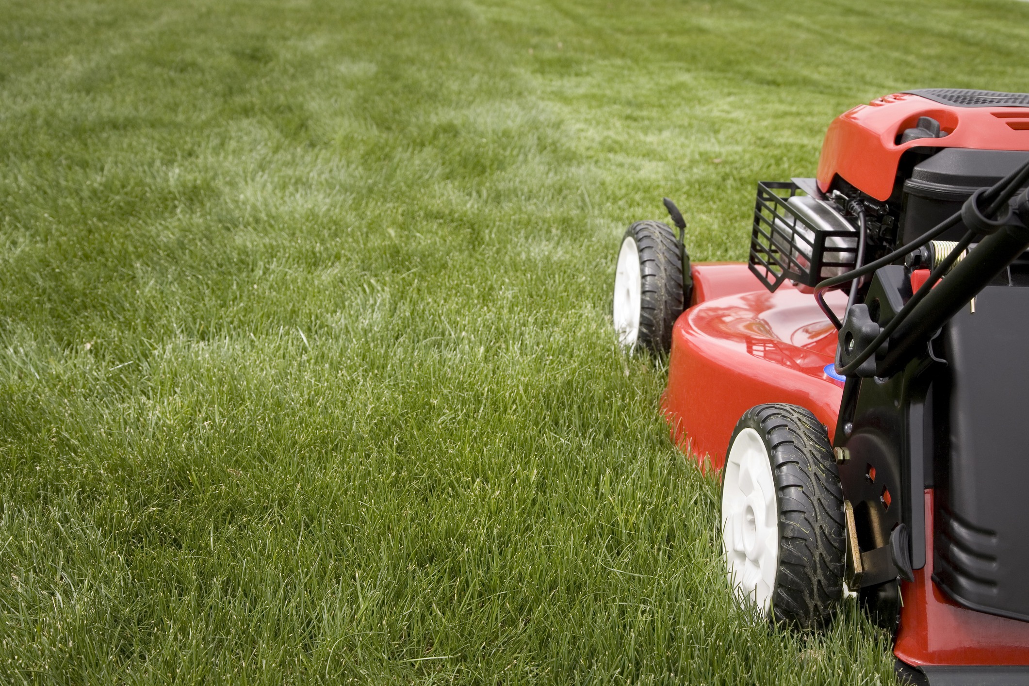Red lawn mower on green grass lawn