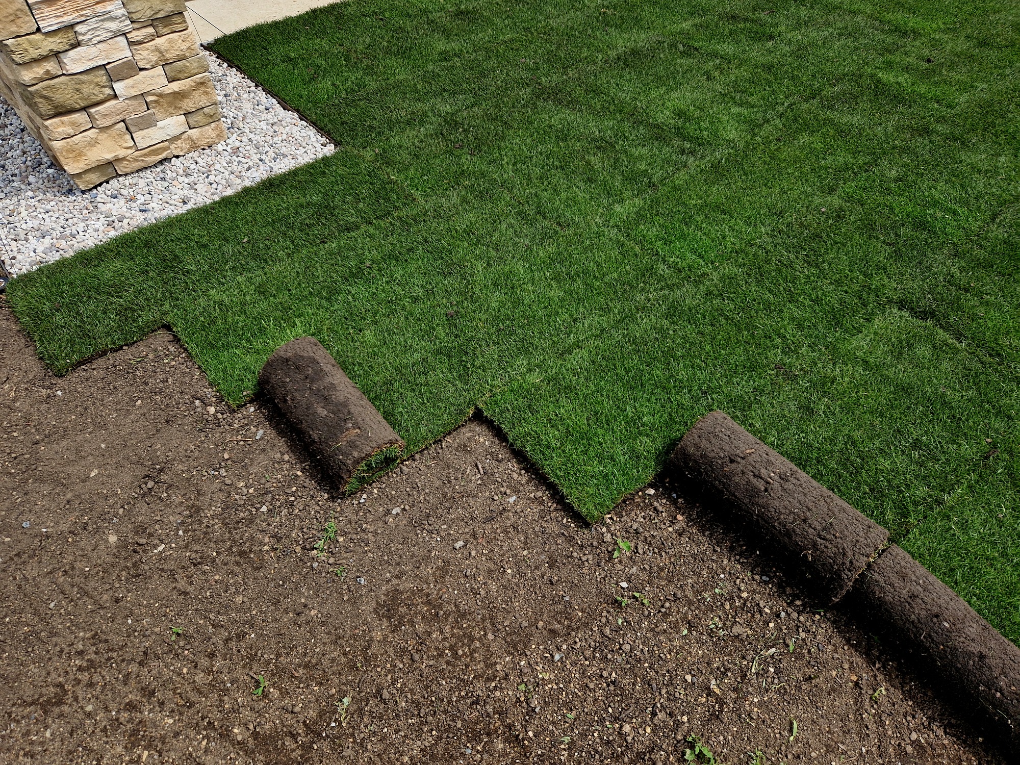 Fresh sod rolls being installed on lawn