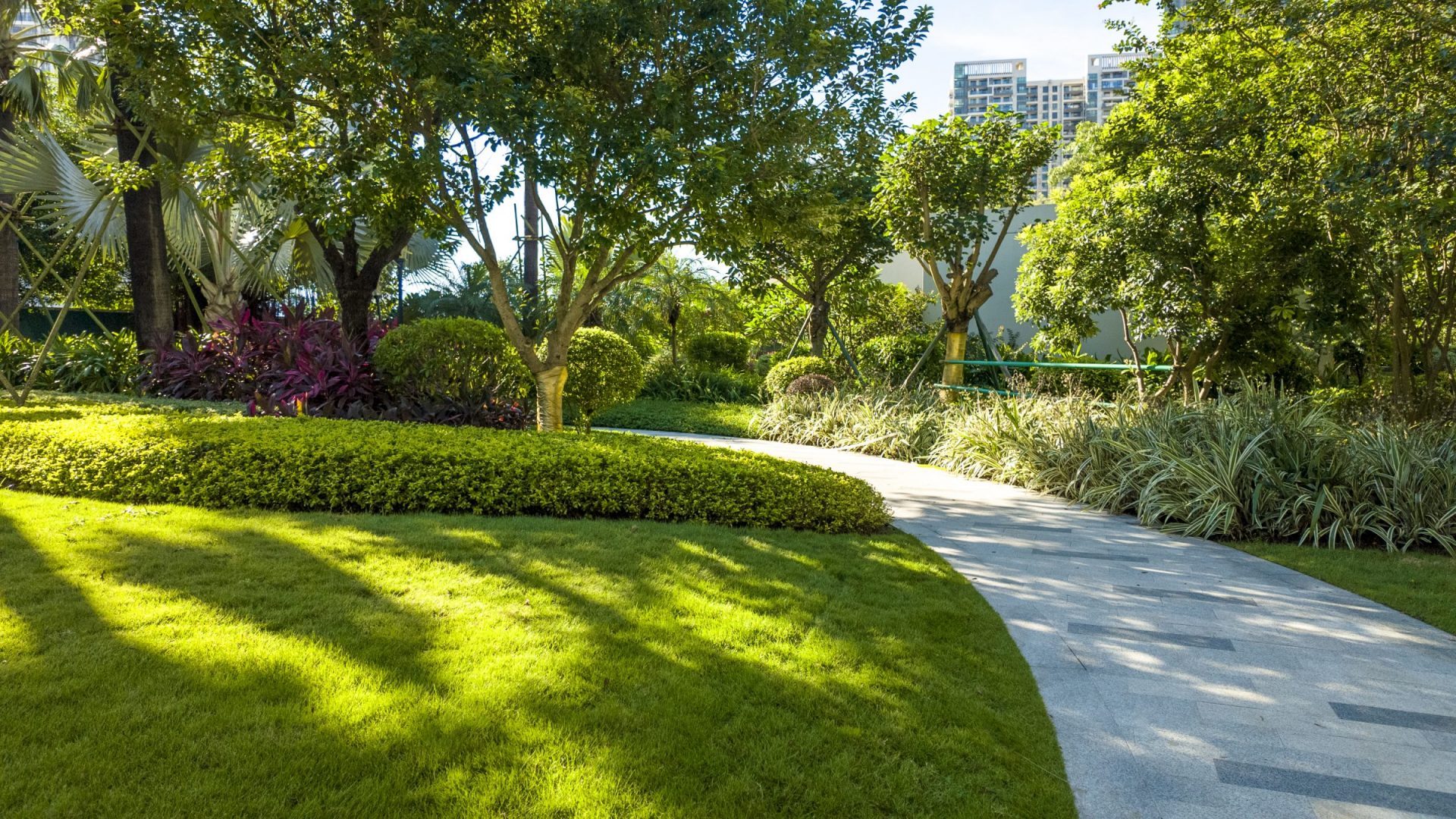 Sunlit landscaped park with curved stone walking path