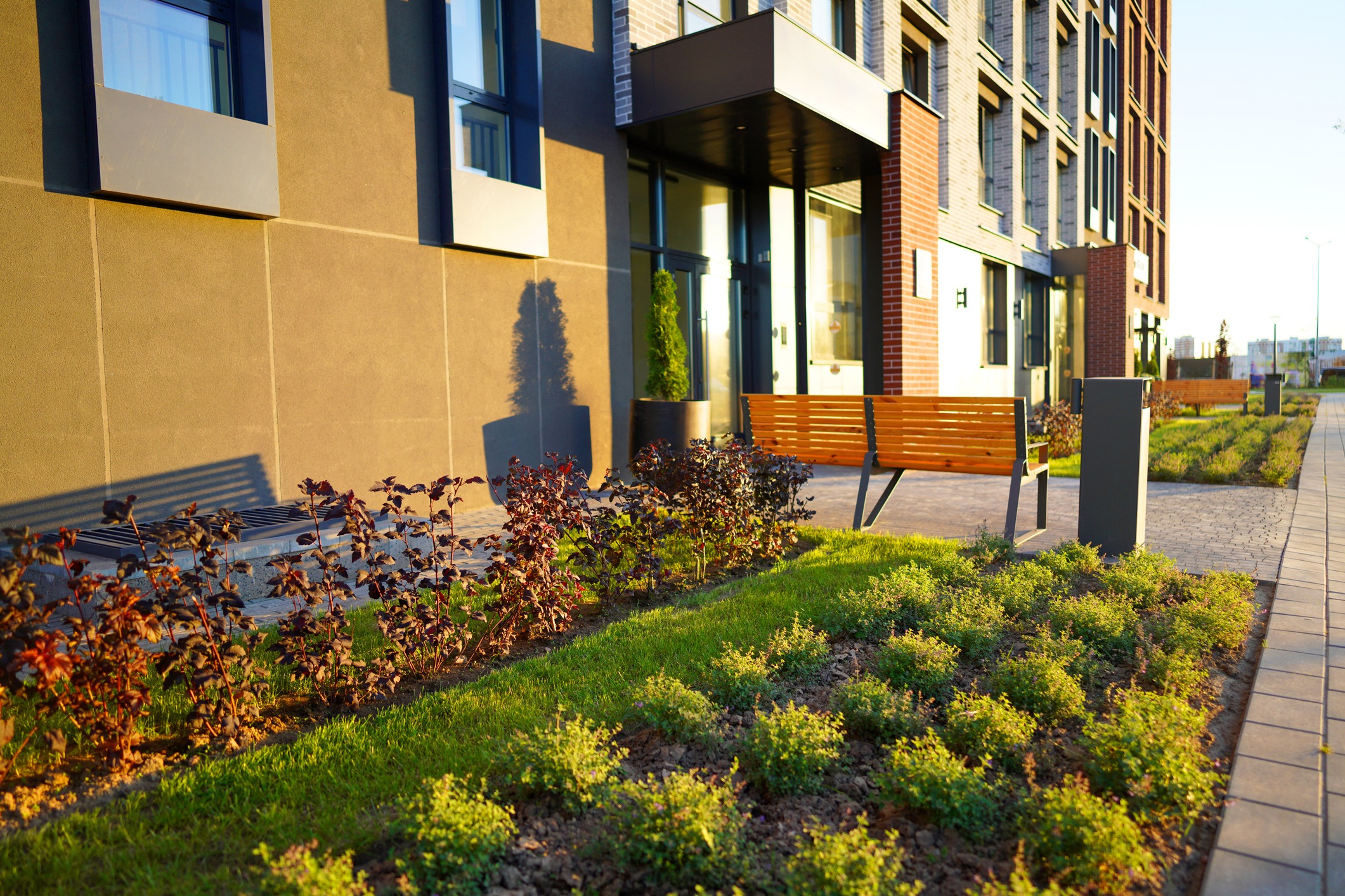 Modern apartment exterior with benches and landscaped walkway