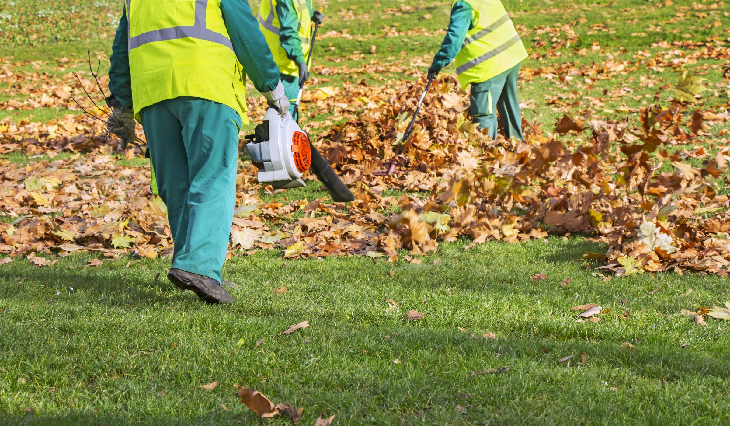 Workers clearing autumn leaves with blower and rakes