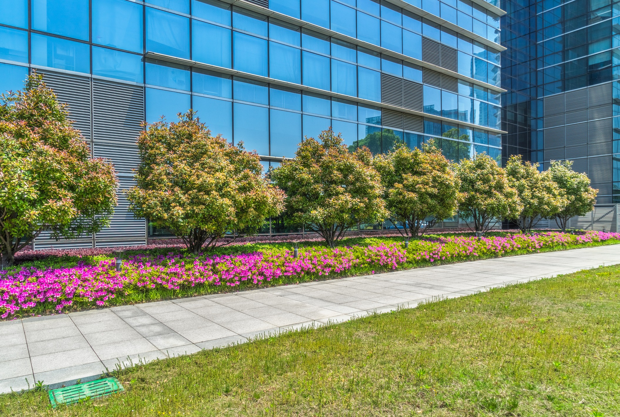 Modern glass office building with landscaped garden