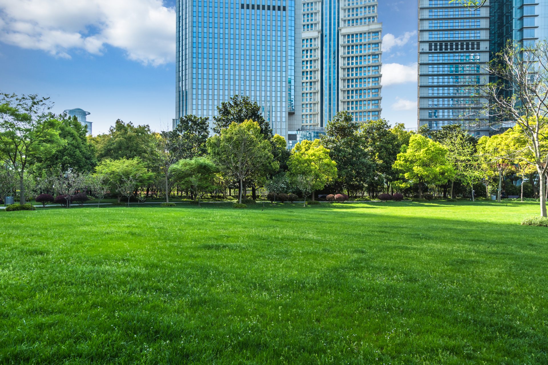 Professionally maintained green urban lawn with skyscrapers in background