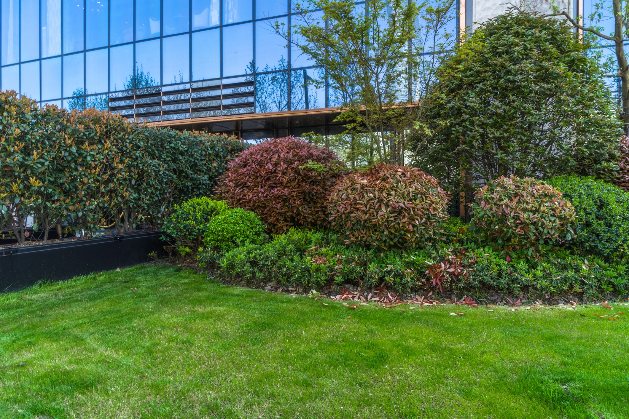 Landscaped garden outside modern glass office building