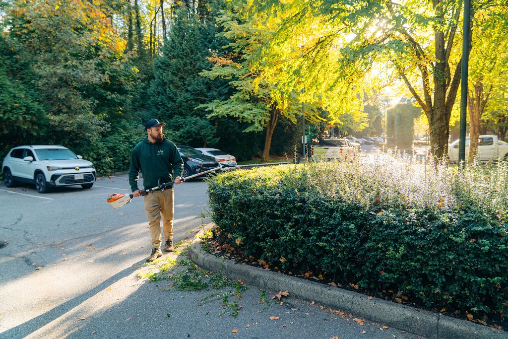 Commercial property maintenance worker trimming bushes at a North Vancouver parking lot.