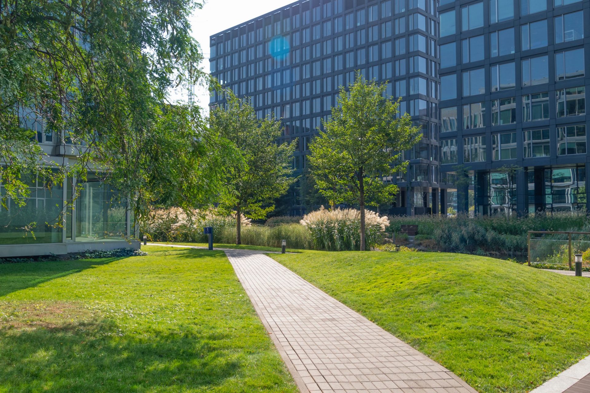 Modern office buildings with landscaped and maintained green courtyard and an interlock brick pathway
